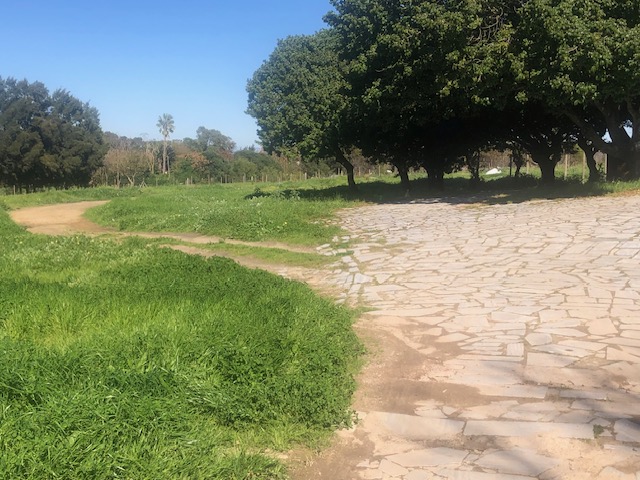 0 Bedroom Property for Sale in Botfontein Smallholdings Western Cape